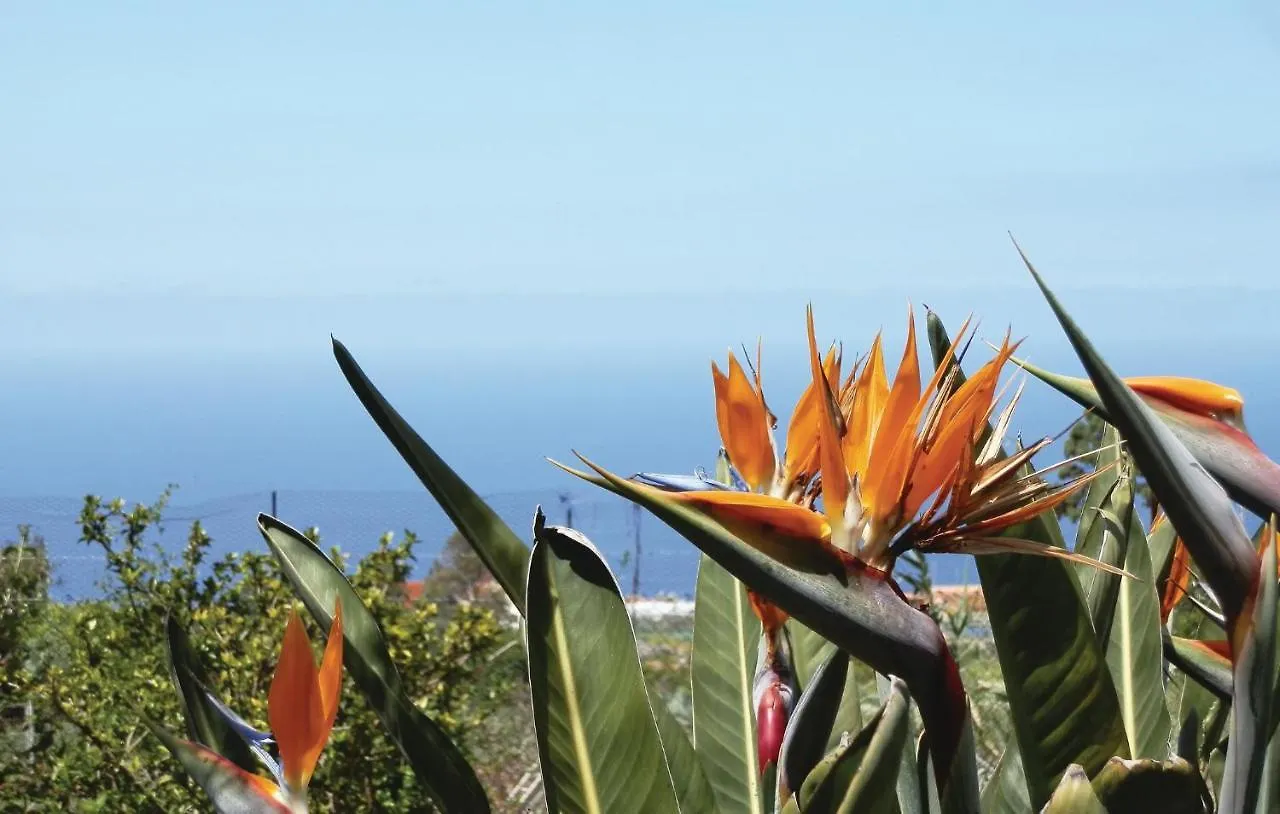 Casa Los Pinos Icod De Los Vinos Holiday home